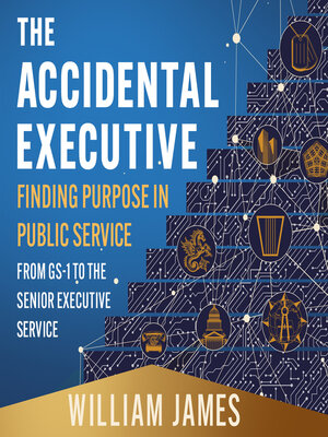 cover image of The Accidental Executive